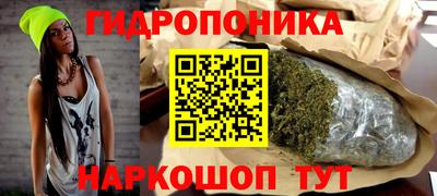 гидра Будённовск