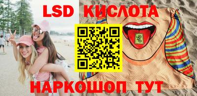 гидра Будённовск