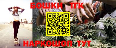 гидра Будённовск