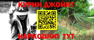гидра Будённовск