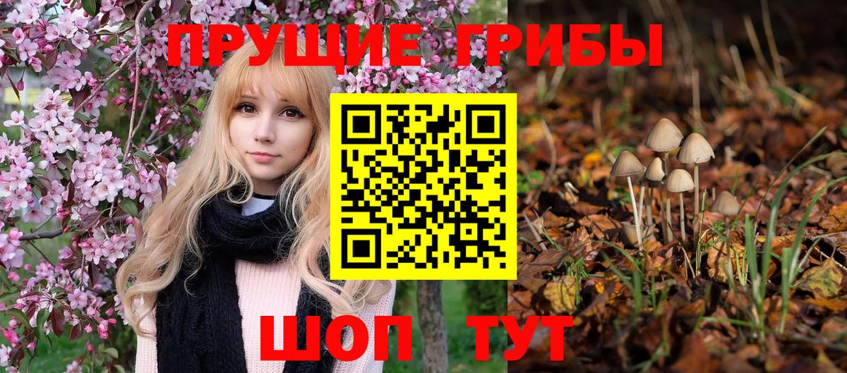 Нефтекамск  Галлюциногенные грибы прущие грибы  Вход с VPN 