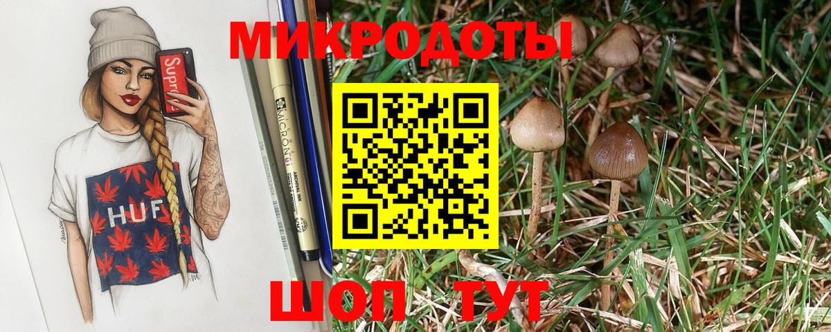 Галлюциногенные грибы Psilocybe Нефтекамск